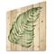 Designart - Tropical Leaf Of Monstera II - Farmhouse Print on Natural Pine Wood